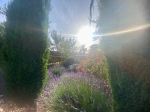 Mas de la Calade Bed & Breakfast