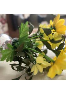 The Zebra Suite at Fredericks Place