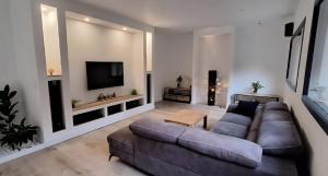 Villas Summer 2026 Designer villa in nature in Ceret : Villa 3 Chambres