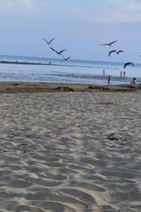 Isla Canela 2 dormitorios Paseo de los gavilanes blq1 n 13