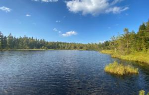 Stunning Home In Skillingaryd With Sauna