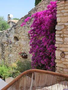 Maisons de vacances La Papaye : photos des chambres