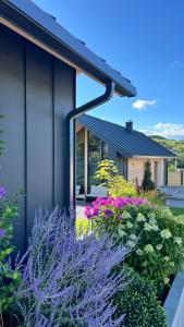 DOMKI NA LUZIE w górach PREMIUM , dla dorosłych i młodzieży