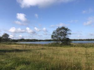 5 star holiday home in Ansager