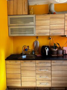 Spacious one room apartment with a balcony, Järveotsa tee 41