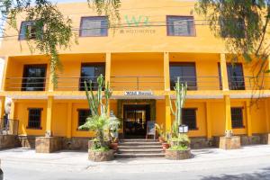 Wild Rover Huacachina