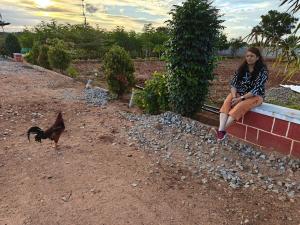 Lazy Daisy Medows R2