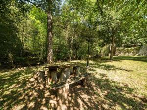 Maisons de vacances Charm in the Midi-Pyrenees : photos des chambres
