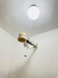 Cozy One bedroom in Ruaka, near two rivers