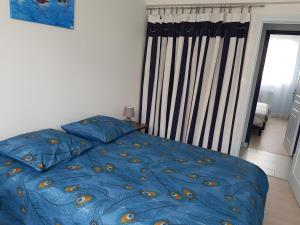 Appartements Appt 300m de la plage vue sur mer : photos des chambres