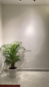 The STAY by Baeblenders, Nagaon