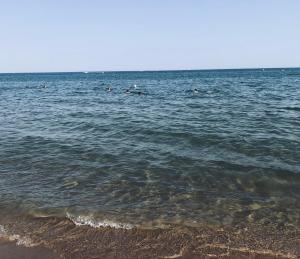 Pavillon les Jardins de la Plage