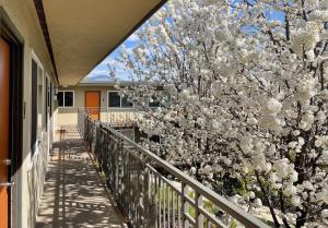 Bright Top Floor-King Bed-Parking-Fast Wi-Fi