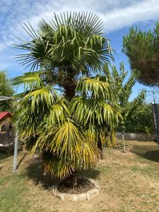 Sejours chez l'habitant La Maison Provencale : photos des chambres