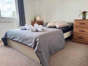Beautiful room- private bathroom