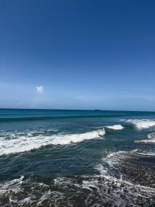 Experience Coconut Paradise Apart O2