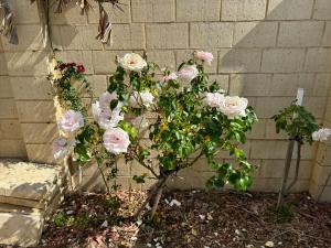 Coastal Retreat - Secret Harbour