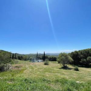 Wild Mountain Cottage and Pool