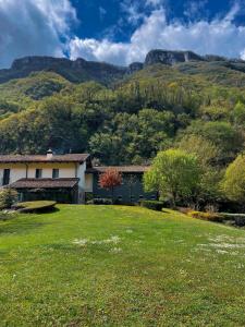 Lunaria Casa