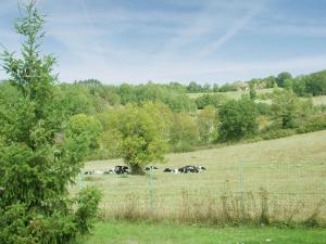 Maisons de vacances Holiday Home in Thedirac with Private Pool : photos des chambres