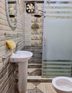 الزمالك شارع اسماعيل محمد