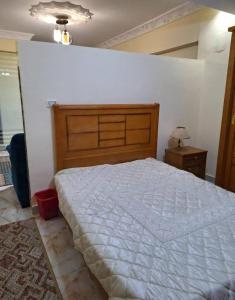 الزمالك شارع اسماعيل محمد