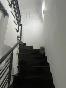 LLAMA Homestay Hotel