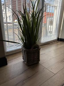 Ferienwohnung Föhr