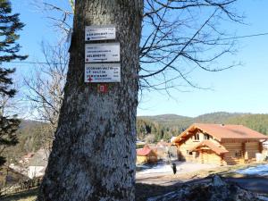 Chalets Chalet Rondins des bois Lac Xonrupt : photos des chambres
