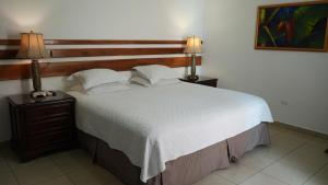 Hotel Casa del Arbol