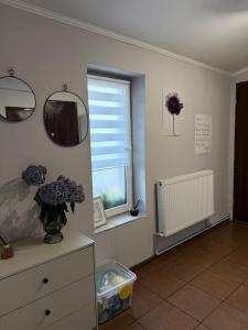 Piękny domek w Borzechowie