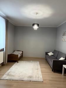 Piękny domek w Borzechowie