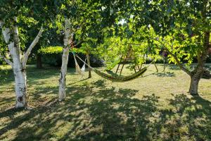 Maisons de vacances Le Clos des 2 Lys charmant gite avec spa en Touraine : photos des chambres
