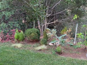 Villa DESIDERIA B&B