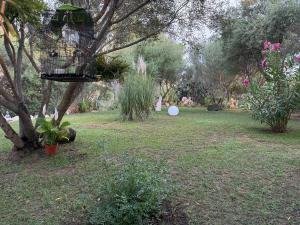 Villa DESIDERIA B&B