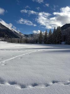 Le Flocon B - Appartement Cosy au pied des pistes