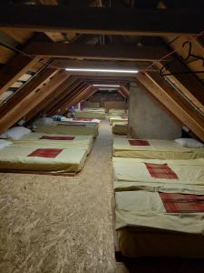 Tičarjev Dom at Vrsic pass