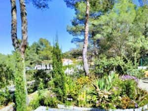 Luxury villa with swimming pool in the forest