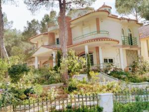 Luxury villa with swimming pool in the forest