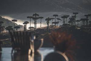 Refúgio nas Nuvens, Domo Omega Luxuoso com Fogo de Chão e Hidro Panorâmica