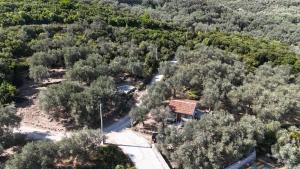 Olive stone house, Ulcinj