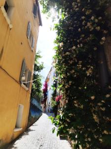 Appartements Art Loft Sud Vue Mer : photos des chambres