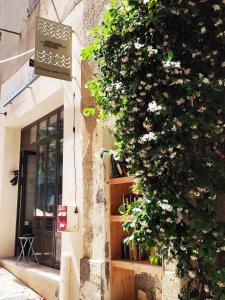 Appartements Art Loft Sud Vue Mer : photos des chambres