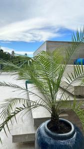 Casa Las Ballenas - 3 bedroom Las Terrenas