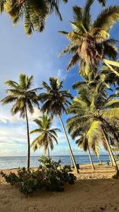 Casa Las Ballenas - 3 bedroom Las Terrenas