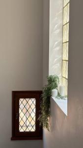 B&B / Chambres d'hotes La Belle Vienne : photos des chambres