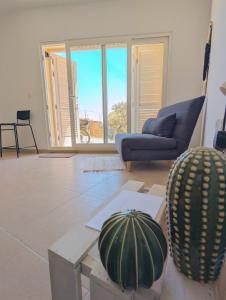 Gozo Vacation Studios