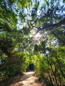 Serendipia Hotel Nizao