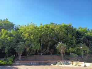 Apartamento Porvenir