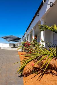 Minnesota Guest House